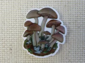 A Cluster of Mushrooms Needle Minder, Cover Minder, Magnet
