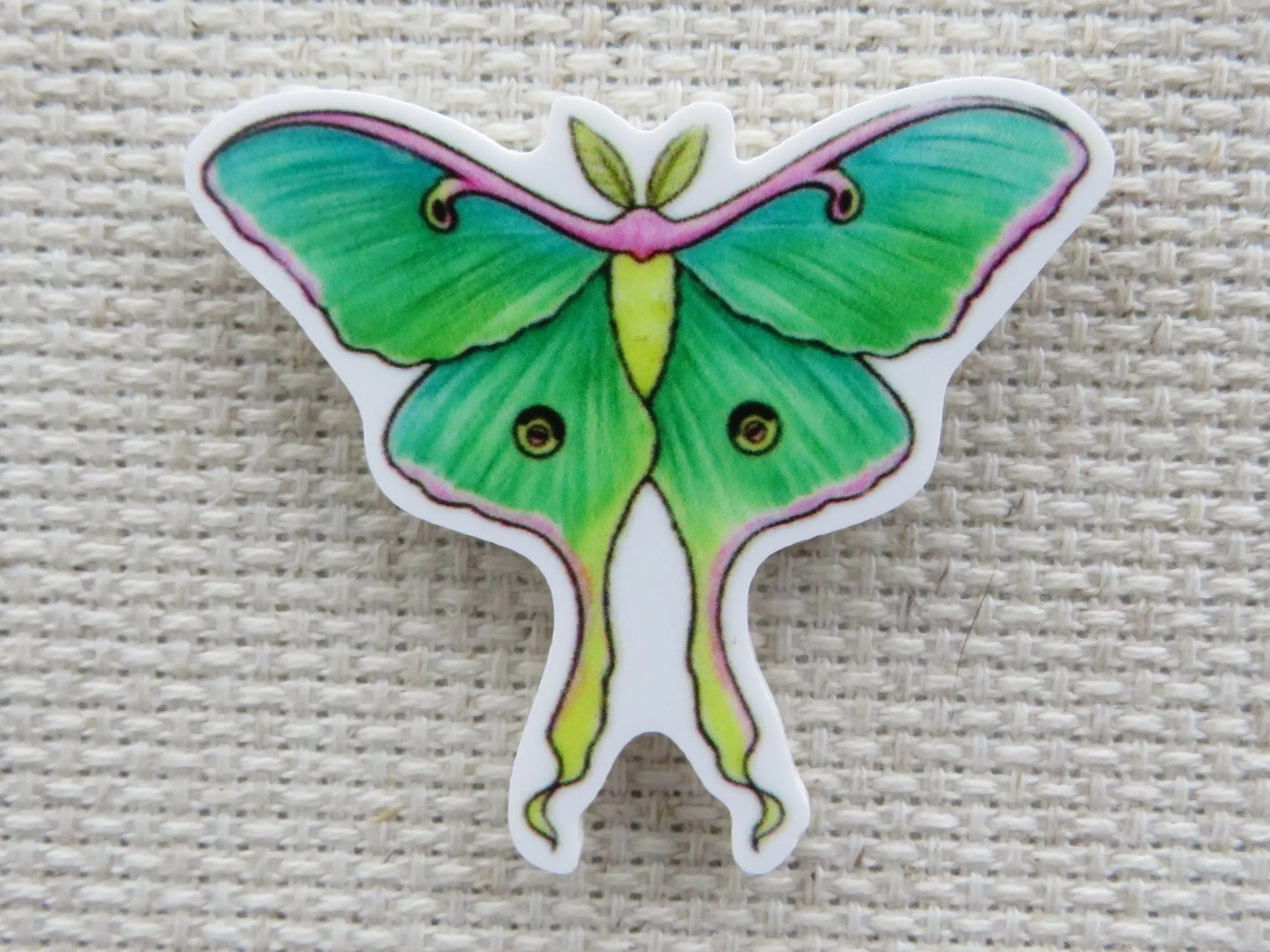 African Moon Moth Needle Minder, Cover Minder, Magnet
