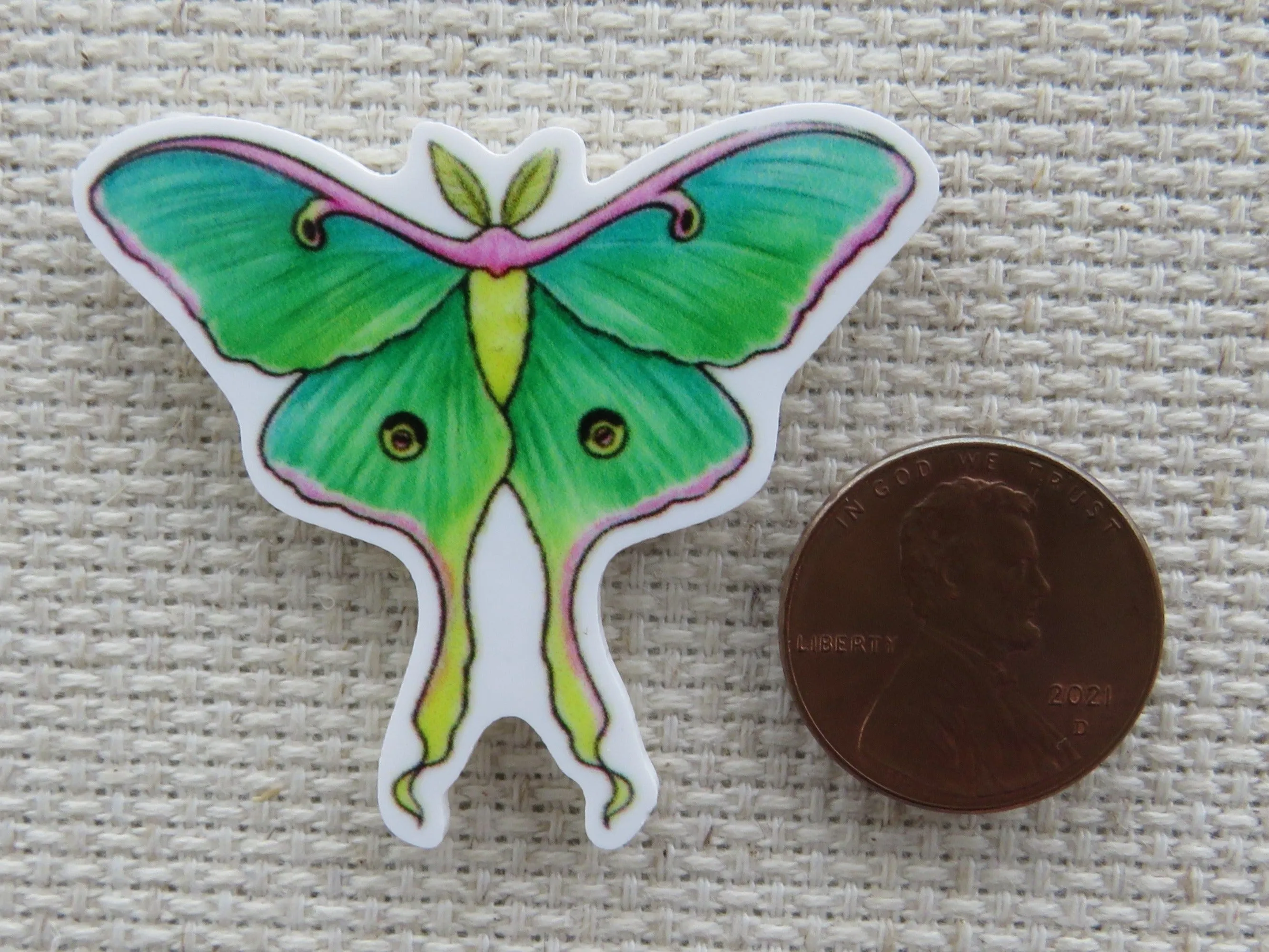 African Moon Moth Needle Minder, Cover Minder, Magnet