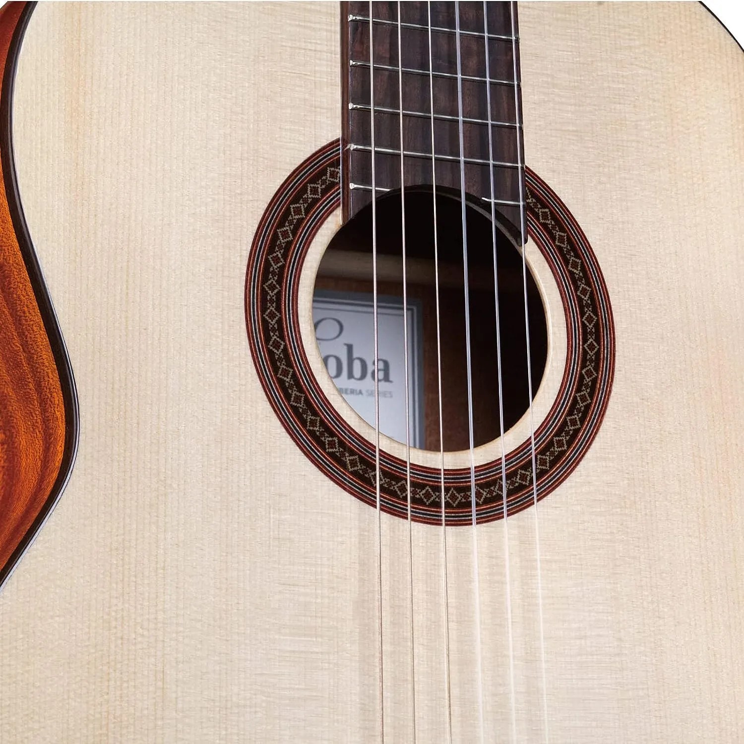 Cordoba C5 SP Classical Acoustic Nylon String Guitar Spruce (Iberia Series)