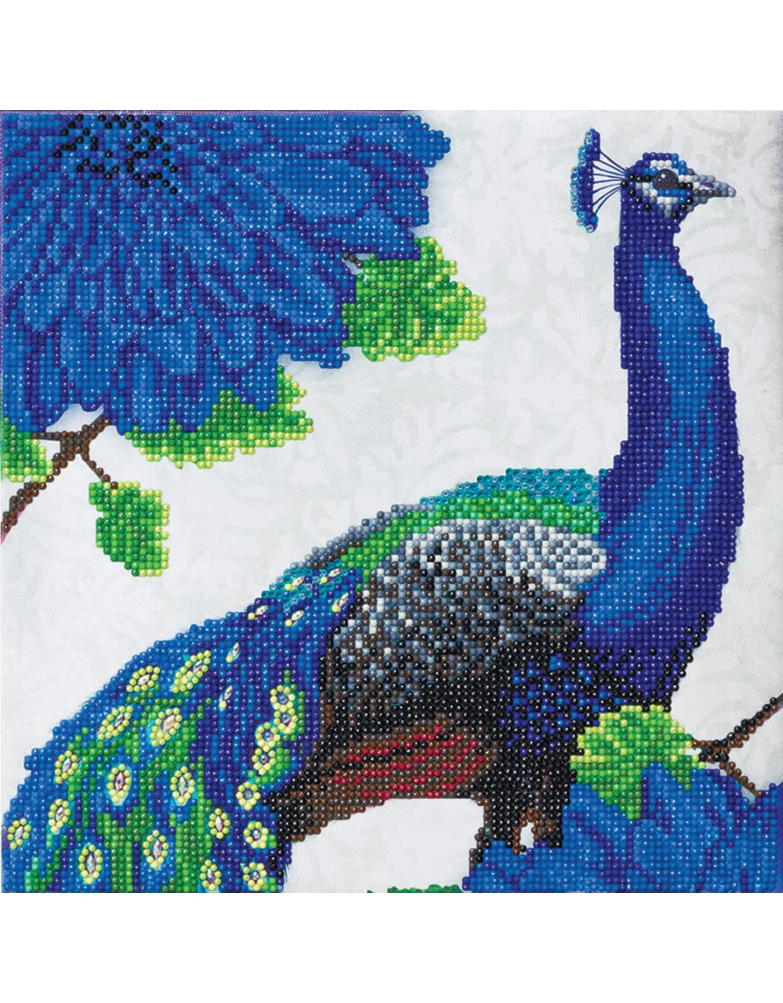 Crystal Art Medium Framed Kit Flowering Peacock
