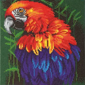 Crystal Art Medium Framed Kit Tropical Bird