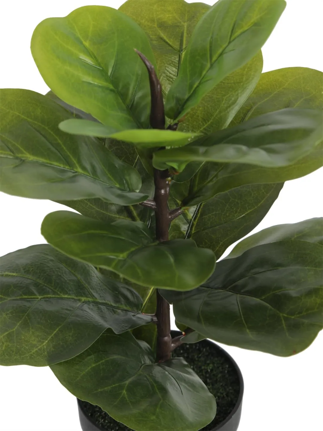 Fourwalls Artificial Fiddle Leaf Plant with Plastic Pot for Home Décor | Natural Look | (14.5 "/37 cm)