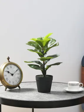 Fourwalls Artificial Fiddle Leaf Plant with Plastic Pot for Home Décor | Natural Look | (14.5 "/37 cm)