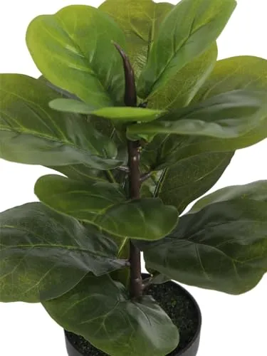 Fourwalls Artificial Fiddle Leaf Plant with Plastic Pot for Home Décor | Natural Look | (14.5 "/37 cm)