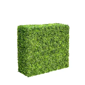 Mixed Boxwood Hedge UV Resistant 75cm Long X 75cm High