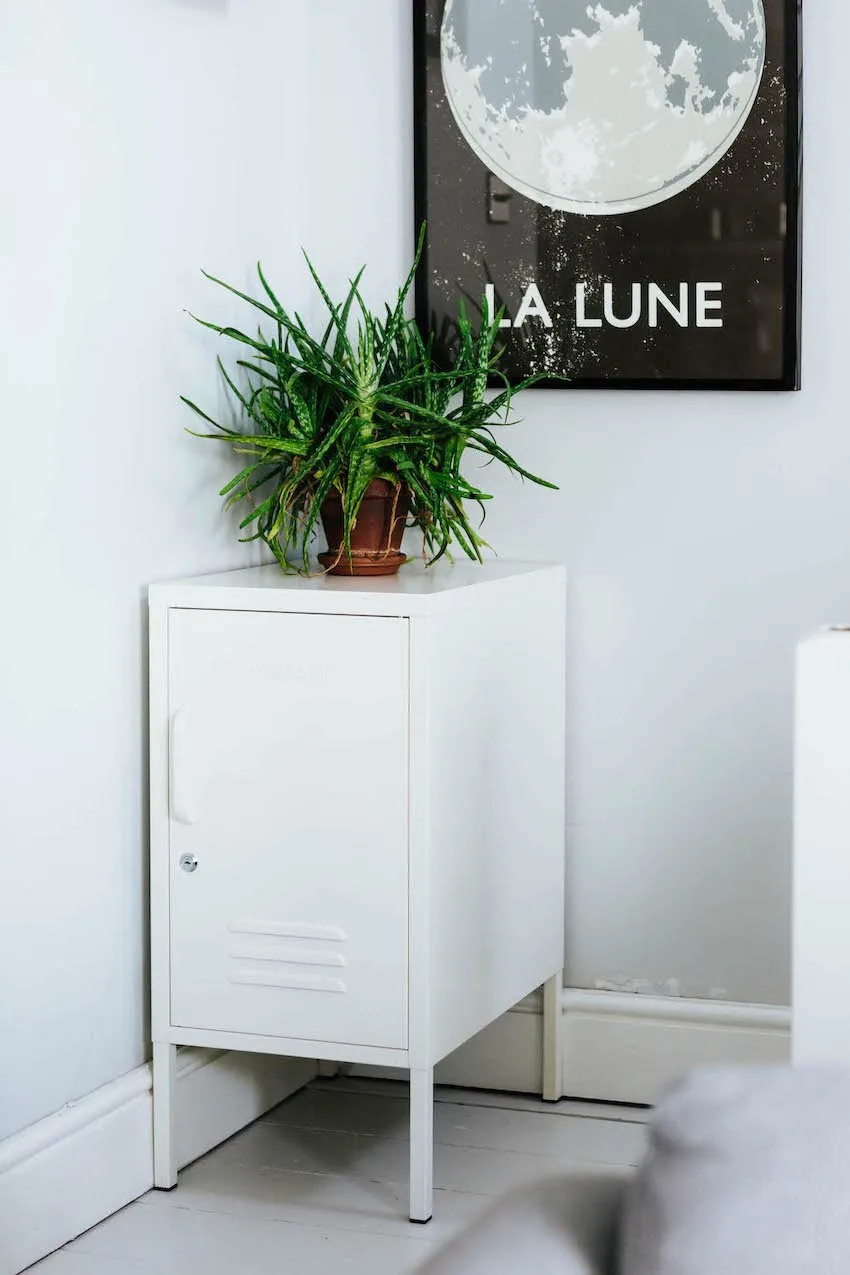 Mustard Made - Shorty Locker in White