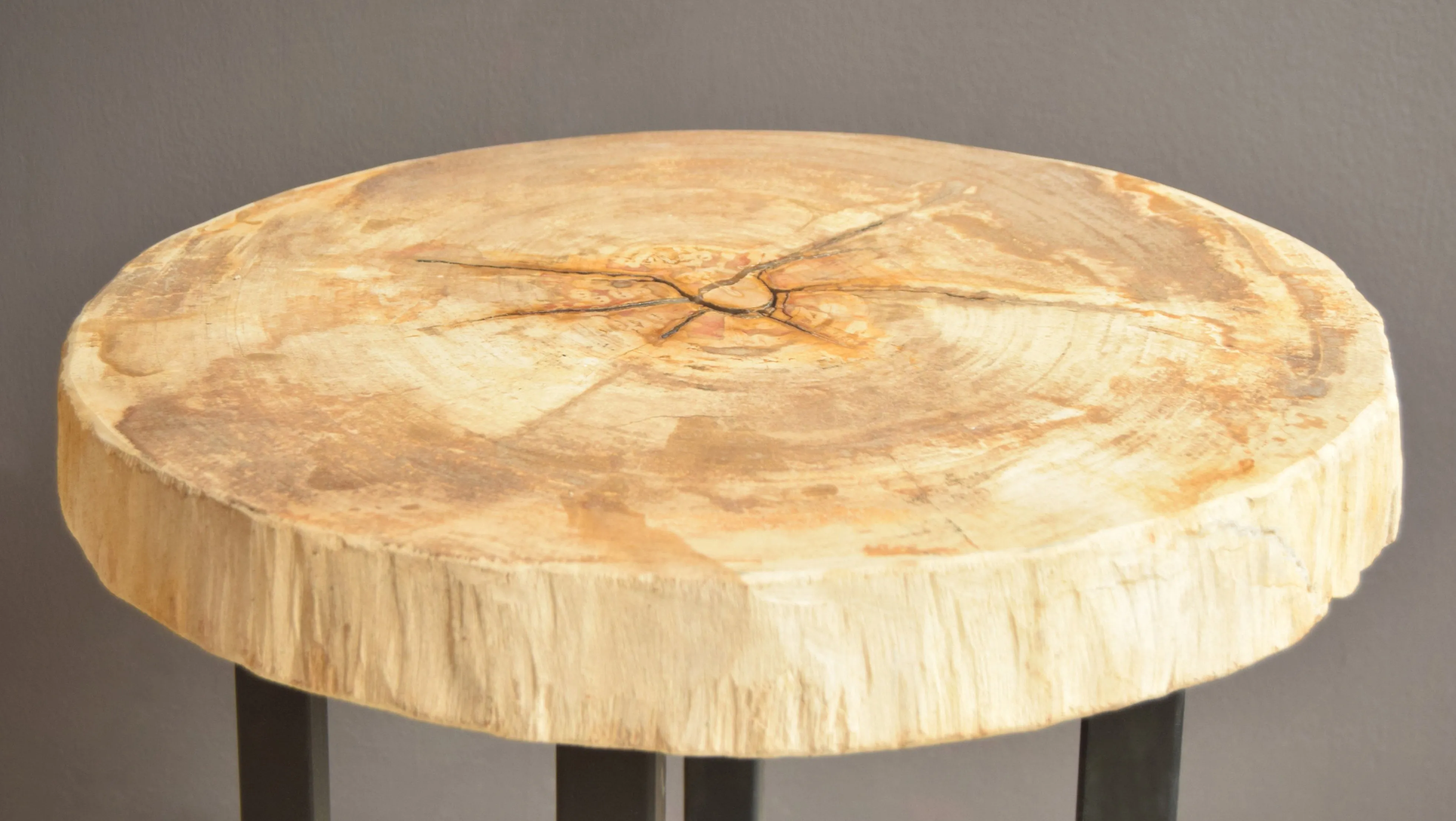 Petrified Wood Side Table