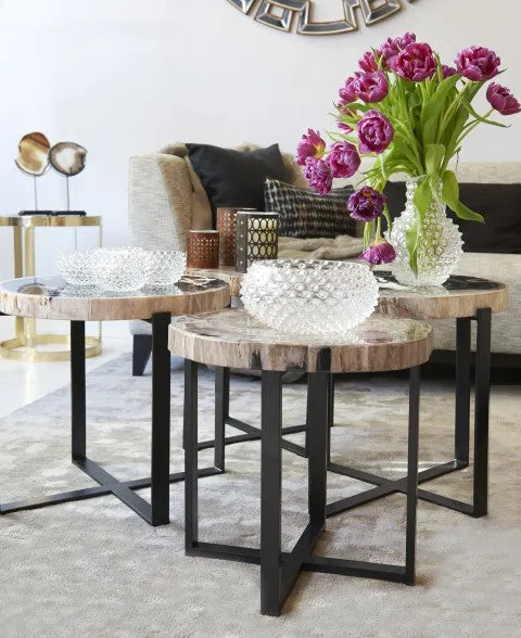 Petrified Wood Side Table