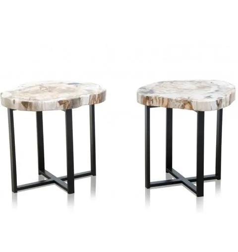 Petrified Wood Side Table