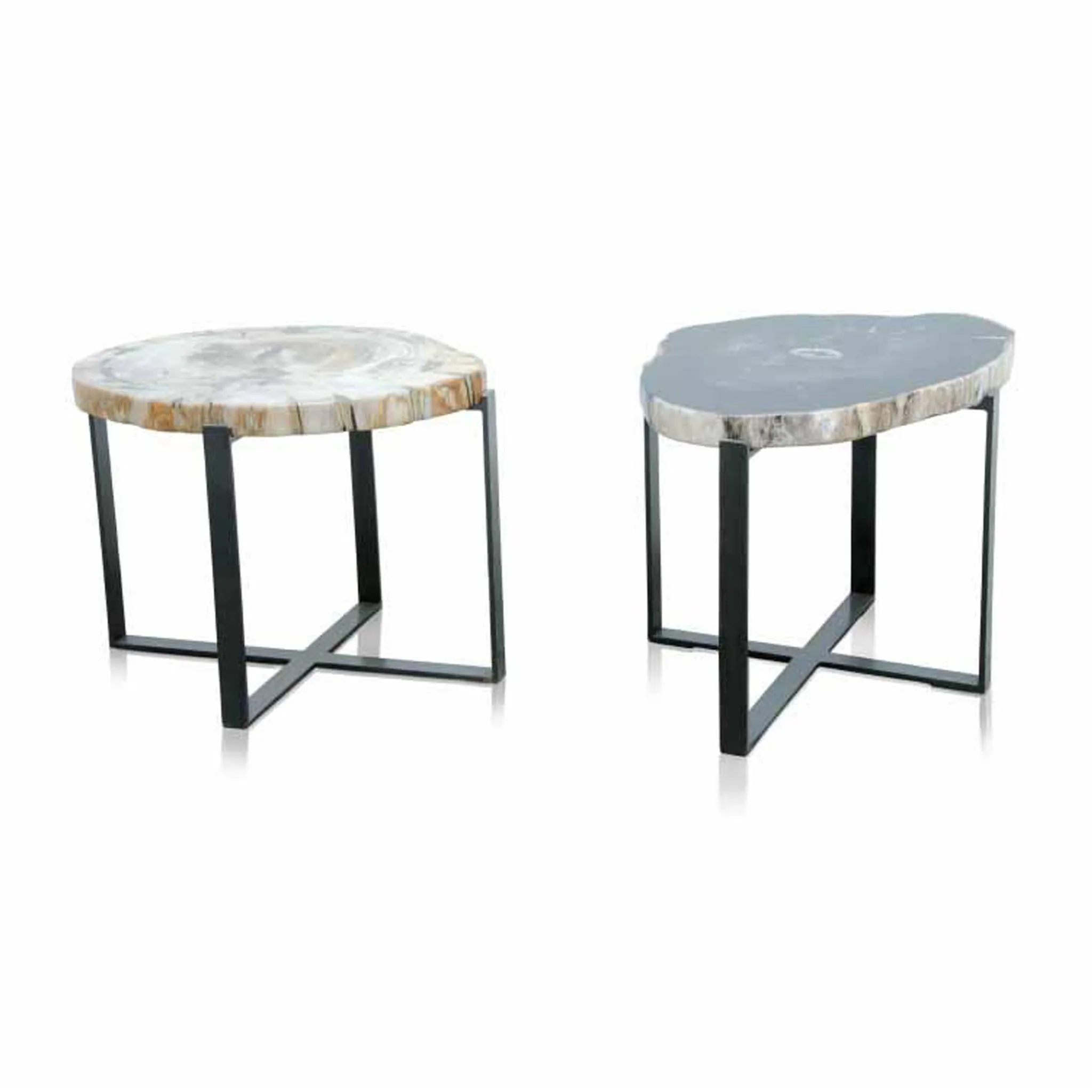 Petrified Wood Side Table