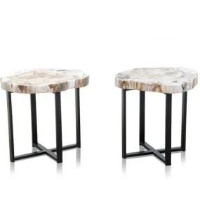 Petrified Wood Side Table