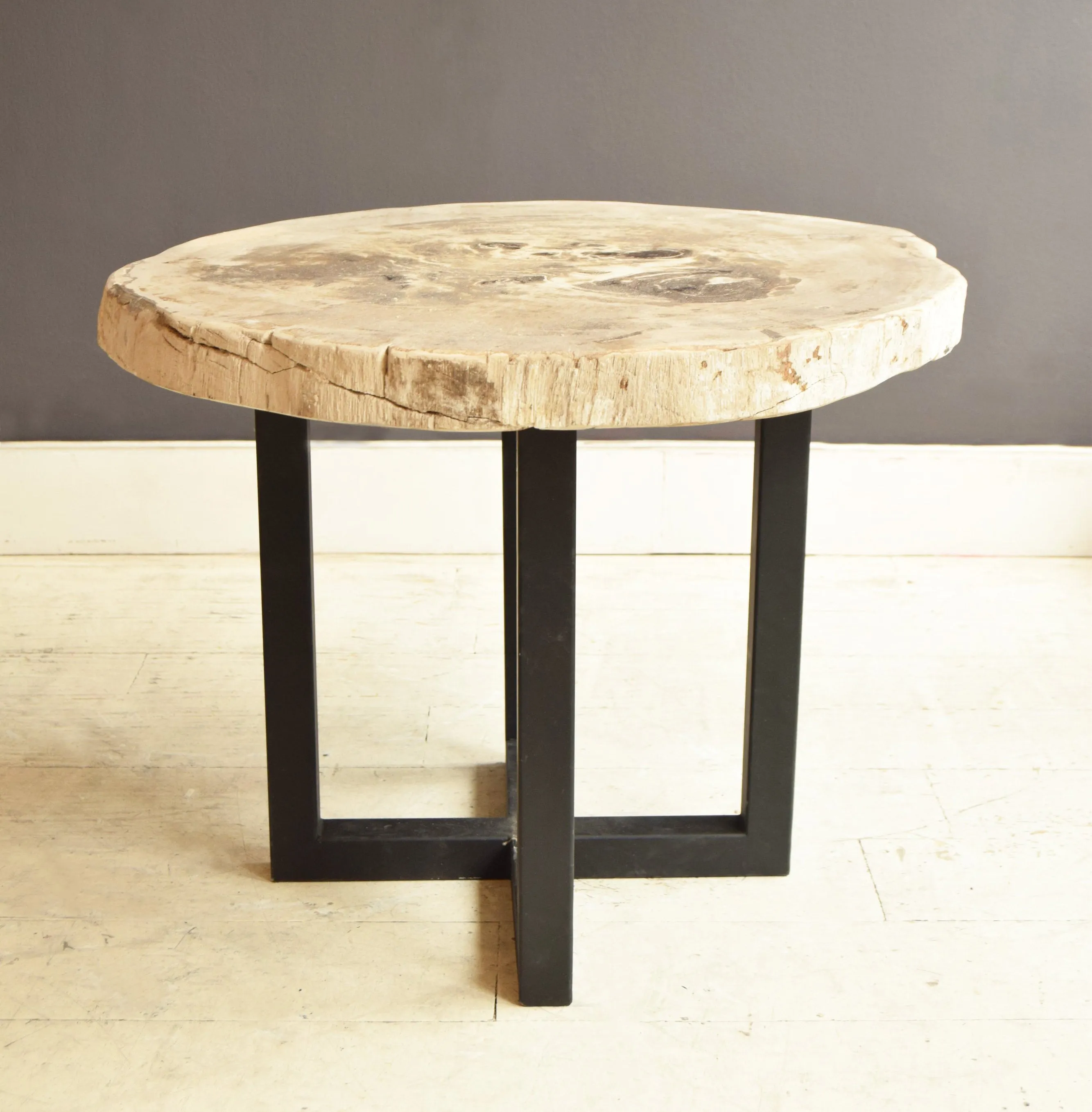 Petrified Wood Side Table