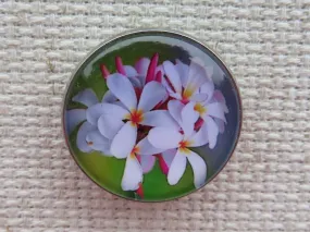 Plumeria Blossoms Domed Needle Minder, Cover Minder, Magnet LAST ONE!
