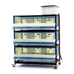 Quail Cage - 3 Layer