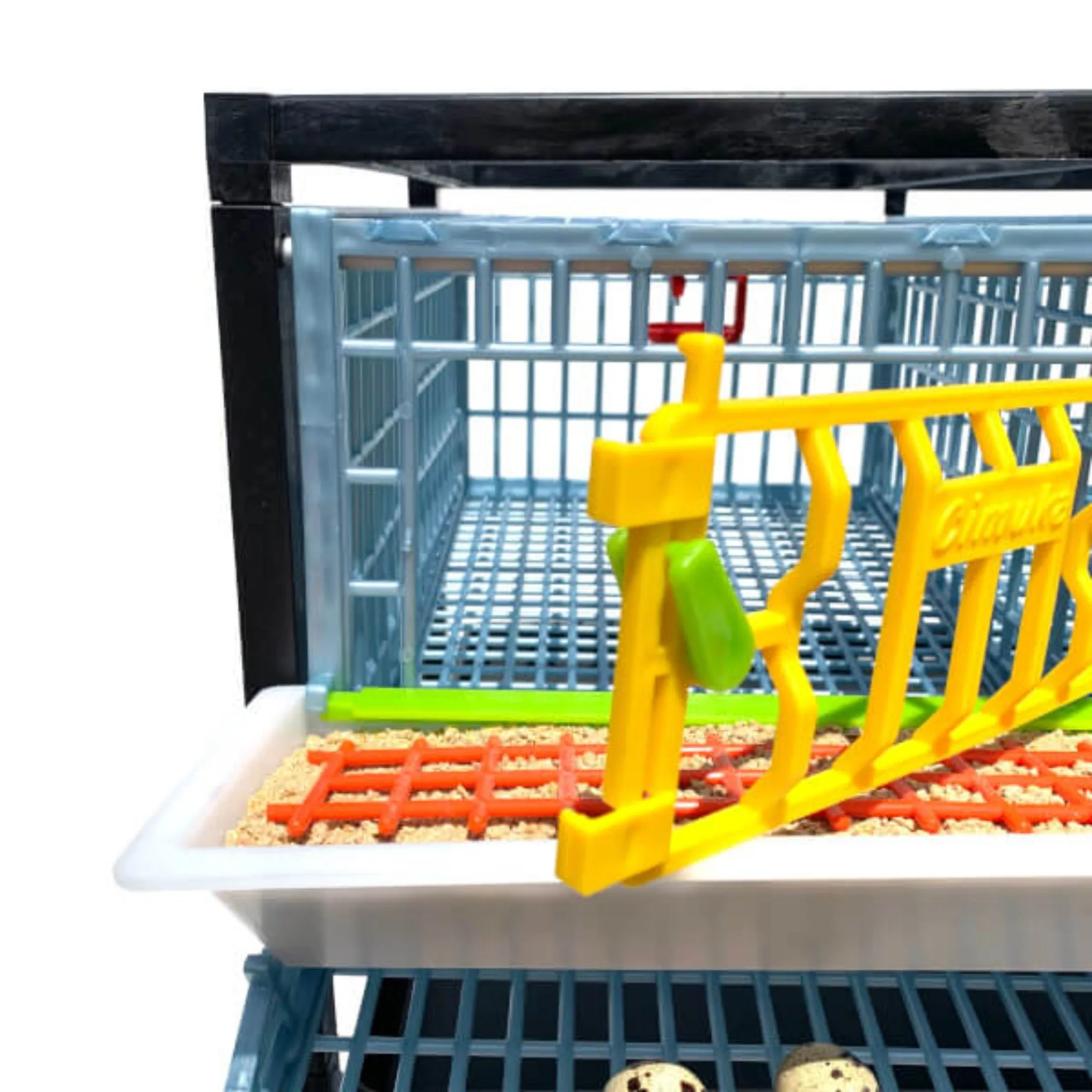 Quail Cage - 4 Layer