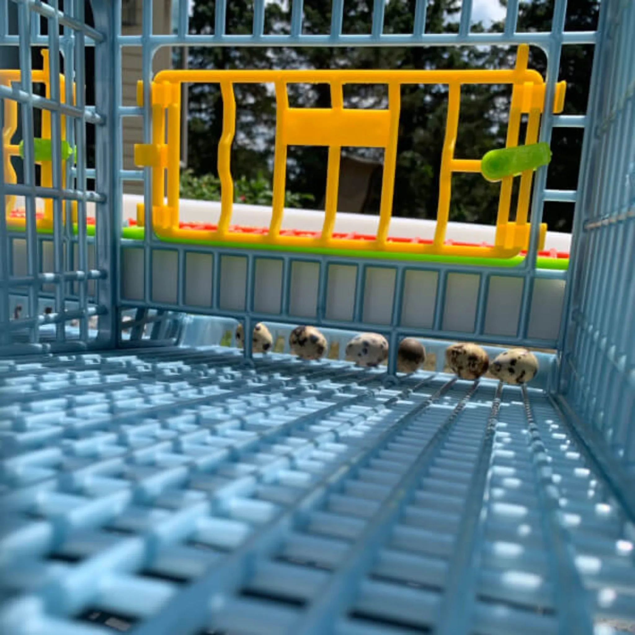 Quail Cage - 4 Layer