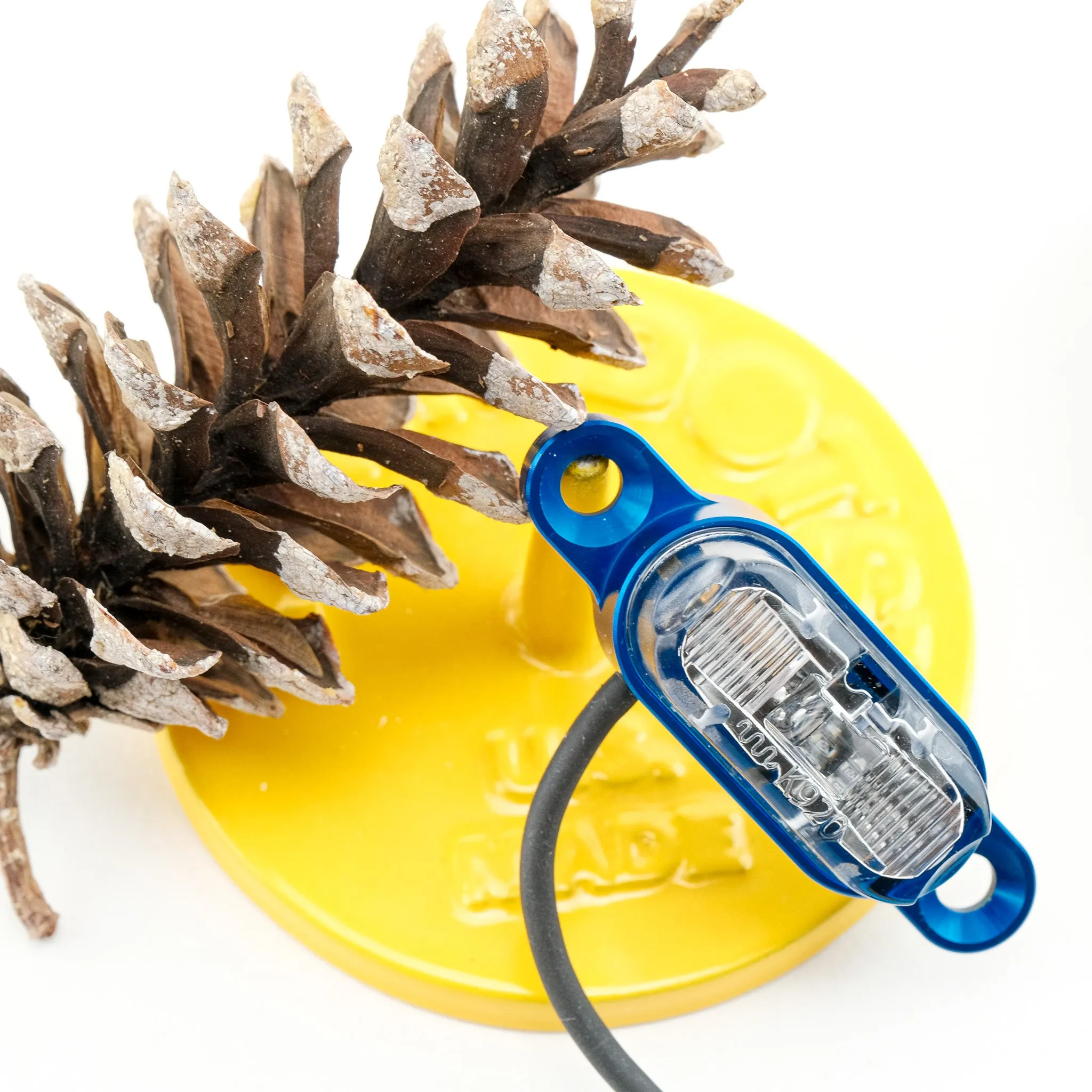 Schmidt Dynamo Rack Light (Blue with Clear Lens)