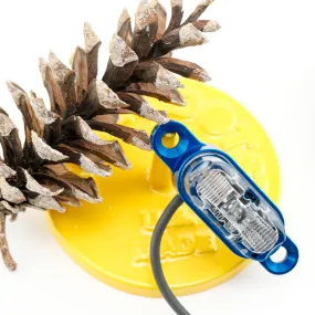 Schmidt Dynamo Rack Light (Blue with Clear Lens)