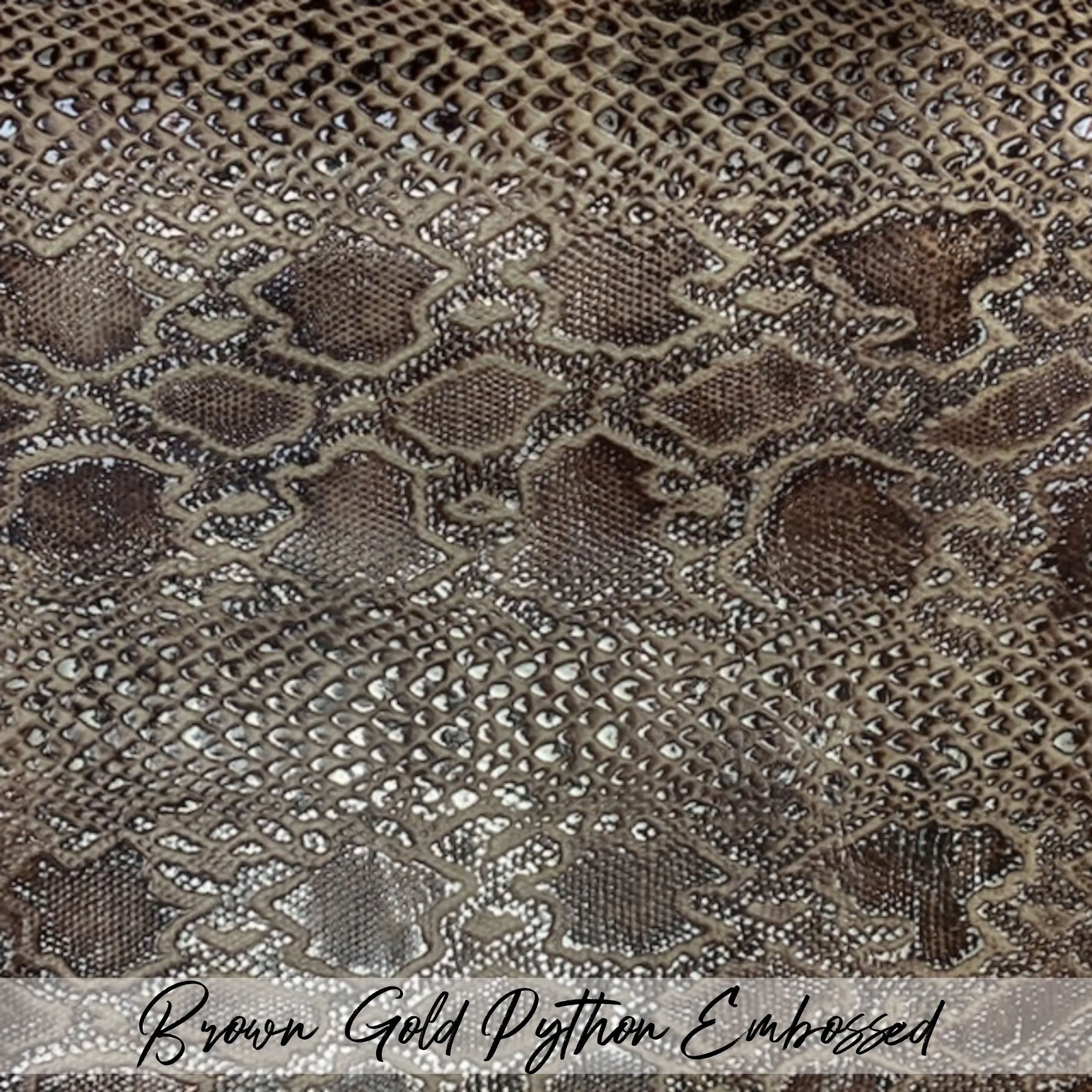 Template - Embossed Leather